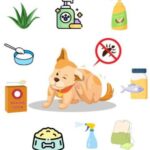 dog itchy skin home remedies