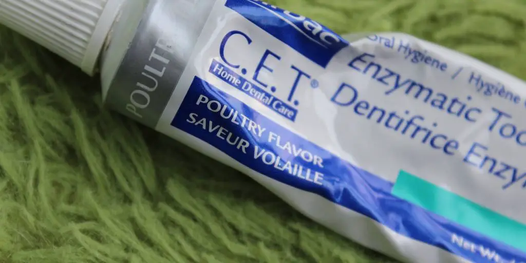 Toothpaste For Dogs (Natural And Homemade Options) 4 dog toothpaste